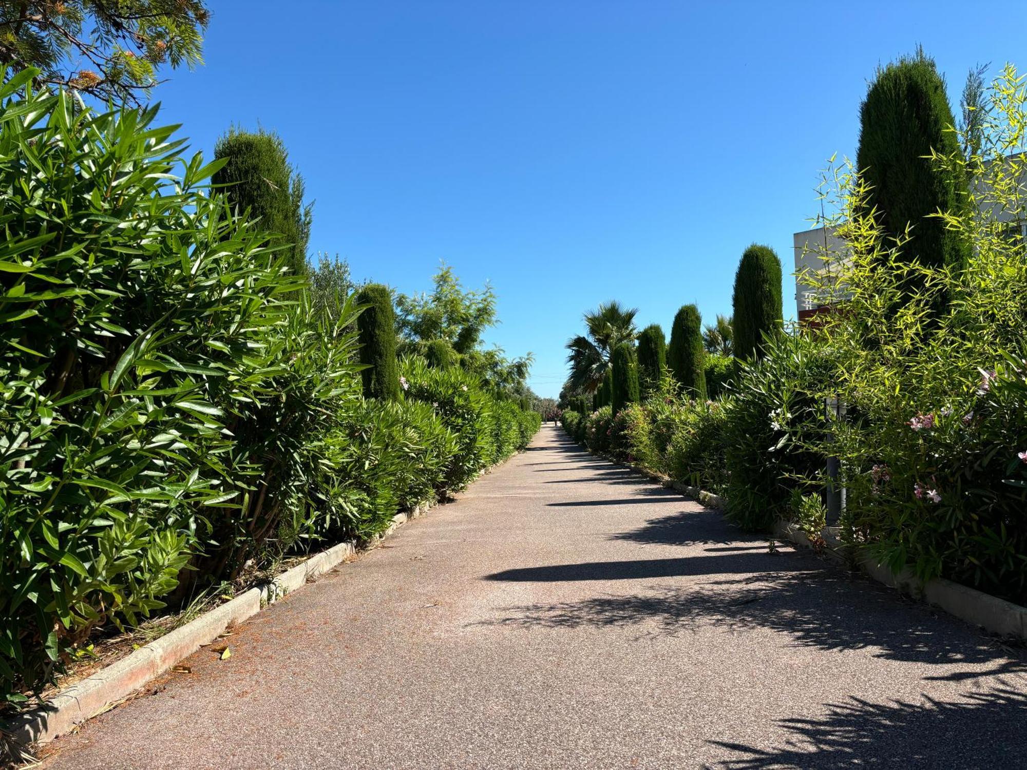 Beachside Apartment With Pool & Garden In Juan Les Pins Antibes Esterno foto