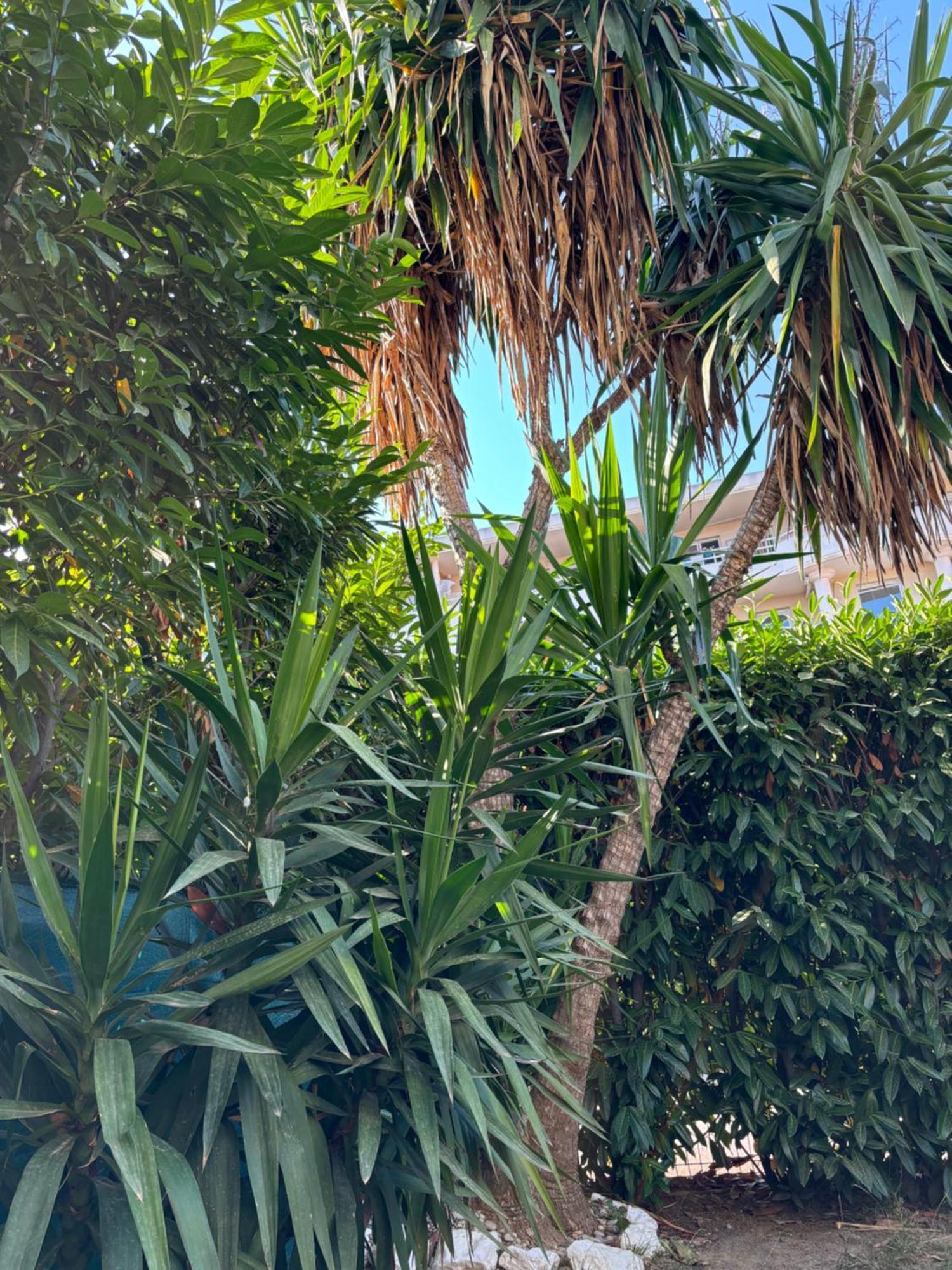 Beachside Apartment With Pool & Garden In Juan Les Pins Antibes Esterno foto