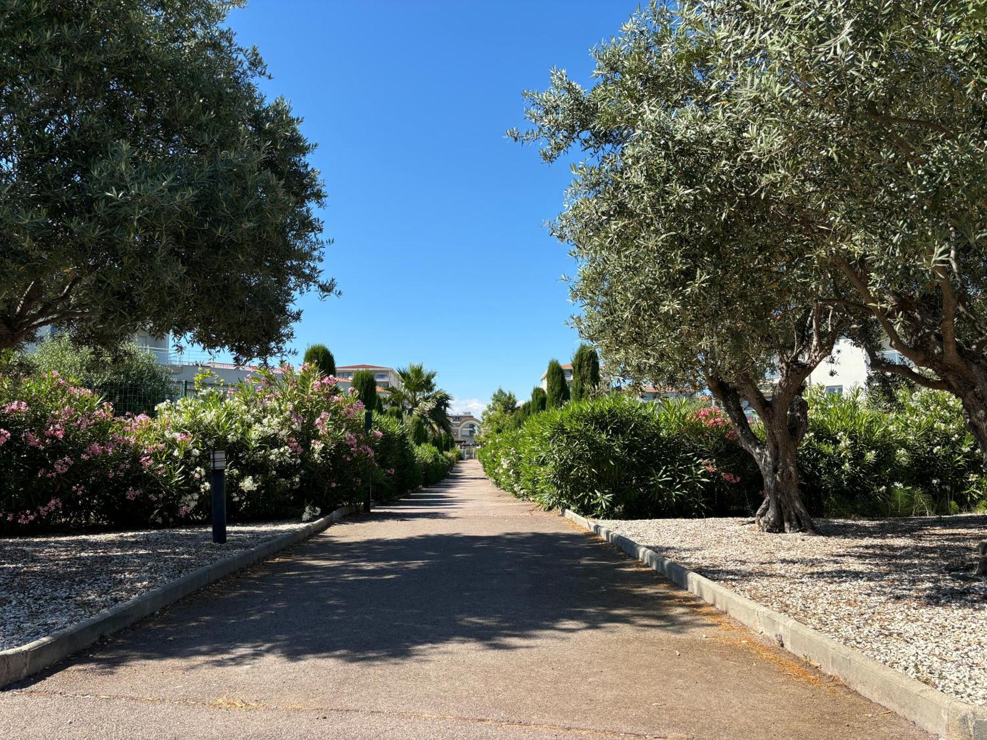 Beachside Apartment With Pool & Garden In Juan Les Pins Antibes Esterno foto