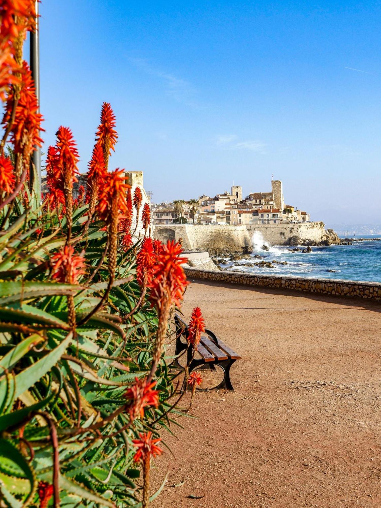 Beachside Apartment With Pool & Garden In Juan Les Pins Antibes Esterno foto